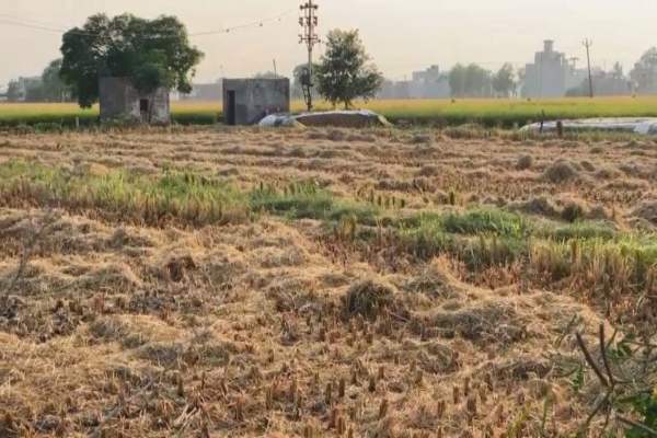 मोगा में पराली प्रबंधन के लिए लगाए गए 221 जागरूकता कैंप, किसानों को 860 और सहकारी सभाओं को उपलब्ध करवाई 360 मशीनें