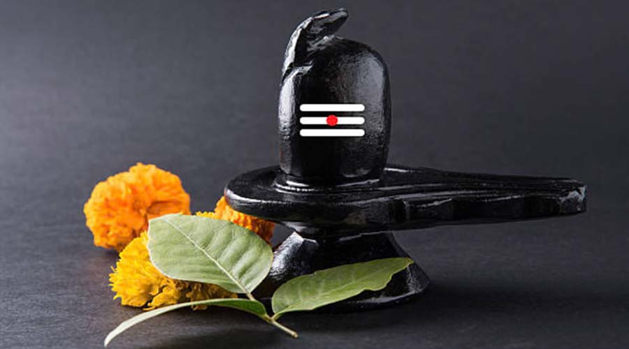 नवंबर में धनतेरस पर रखा जाएगा पहला प्रदोष व्रत, बन रहा शुक्र प्रदोष का शुभ संयोग; जानें पूजा का मुहूर्त