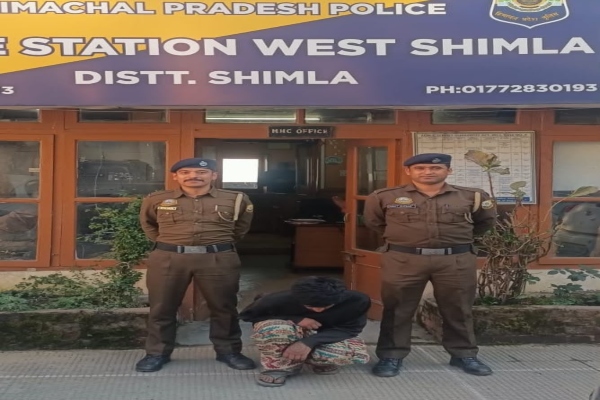 शिमलाः शोघी में बस की चेकिंग के दौरान 7 ग्राम चिट्टा बरामद, युवक गिरफ्तार