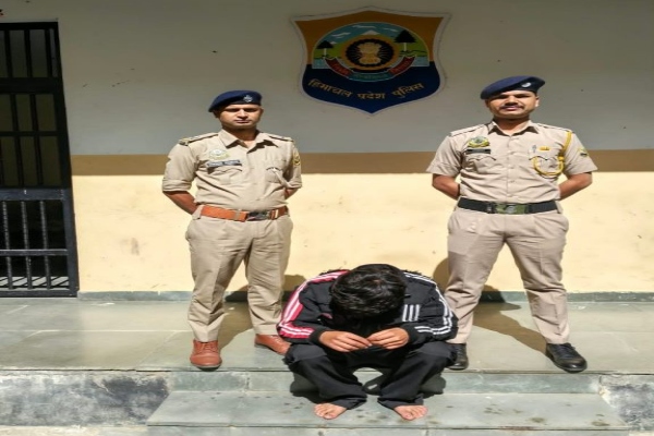 शिमला: 107 ग्राम चरस बरामदगी मामले में आरोपी की जमानत याचिका खारिज