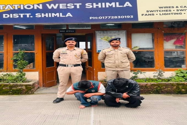 शिमला: शोघी में 22 ग्राम चिट्टे के साथ दो युवक गिरफ्तार, बस में सवार होकर ला रहे थे नशे की खेप