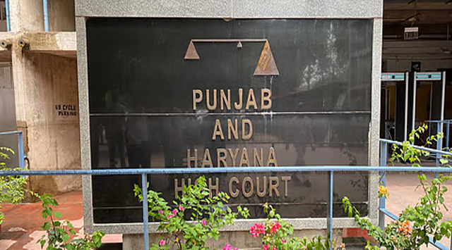 पंजाब में पहली बार हाईकोर्ट की निगरानी में होंगे 50 वार्डों के दोबारा चुनाव