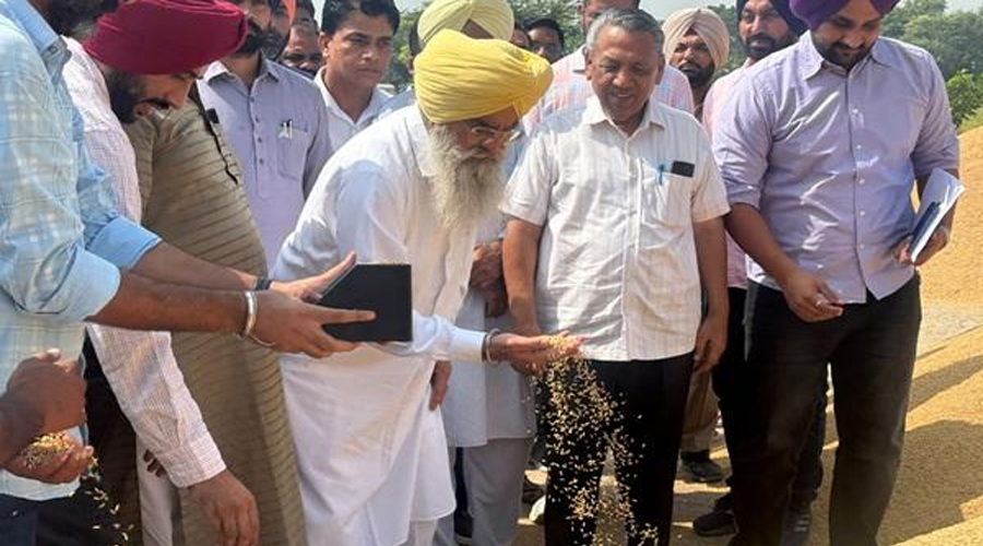 कैबिनेट मंत्री गुरमीत सिंह खुड्डियां ने मंडी किल्लियांवाली में धान की सरकारी खरीद करवाई शुरू