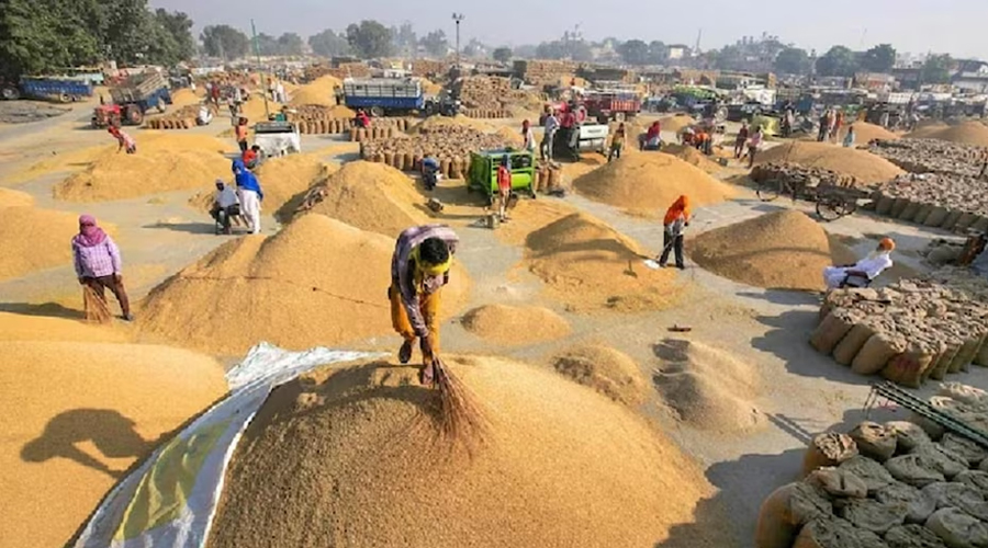 बठिंडा की दाना मंडी में धान की सरकारी खरीद शुरू, मेयर और डिप्टी कमिश्नर ने करवाई बोली