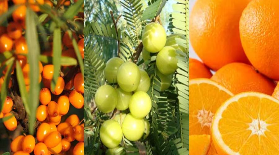 Vitamin C का खजाना हैं ये 3 चीजें, आज ही डाइट में करें शामिल