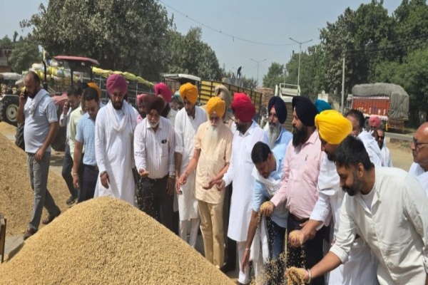 अमृतसर: MLA डॉ. इंदरबीर सिंह निज्जर ने भगतांवाला दाना मंडी में धान खरीद का लिया जायजा