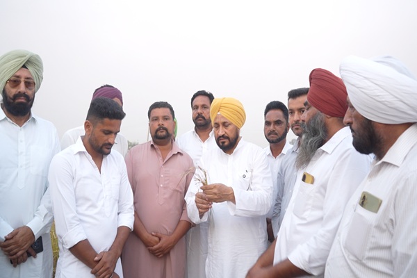 फसल नुकसान पर चरणजीत चन्नी ने सरकार को घेरा, बोले- किसानों को नहीं मिला उचित मुआवजा
