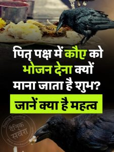 give food to crow during Pitru Paksha