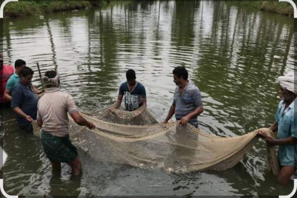 लुधियाना में सिद्धवान शाखा नहर पर मछली पकड़ने के लिए 22 अक्टूबर को होगी बोली